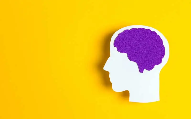Human head silhouette with purple brain on yellow background