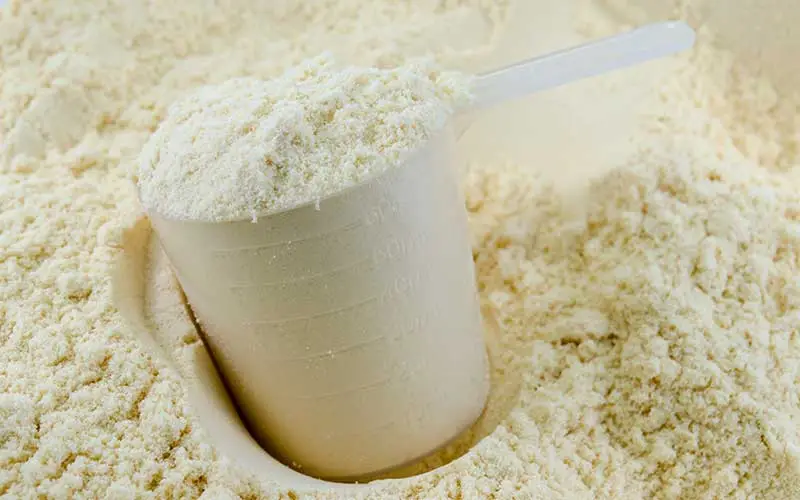 Background of white meal replacement shake powder with measuring scoop