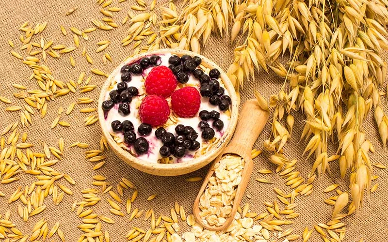 Diet supplements oat grain and oatmeal on canvas